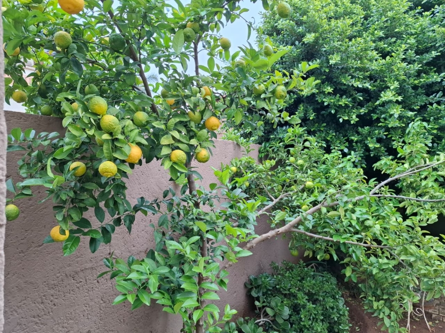 3 Bedroom Property for Sale in Woodland Hills Wildlife Estate Free State